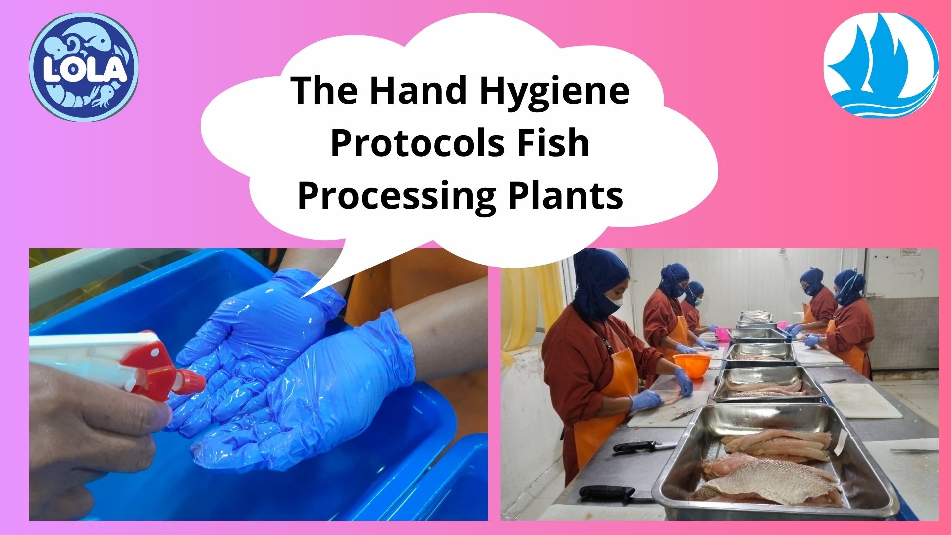  The Hand Hygiene Protocols Fish Processing Plants
